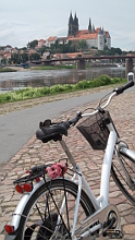 Blick auf Meissen am Elberadweg - Motiv bei fahrradtouren.de